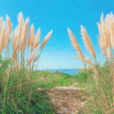 ag娱乐平台游戏中心