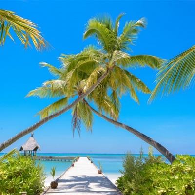 im电竞官网手机app下载截图