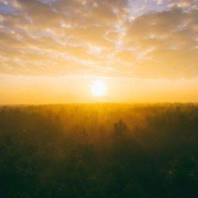 im电竞官网手机app下载