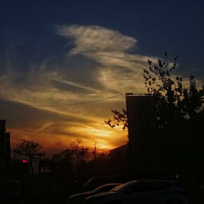 威尼斯软件·下载截图