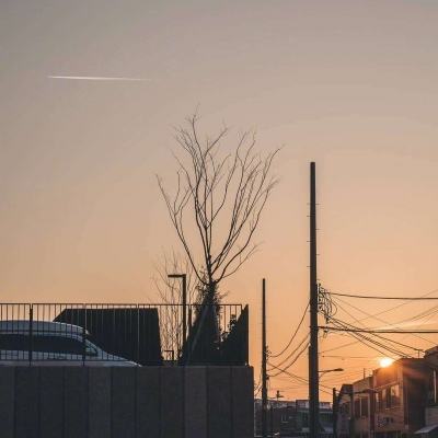 威尼斯软件·下载截图