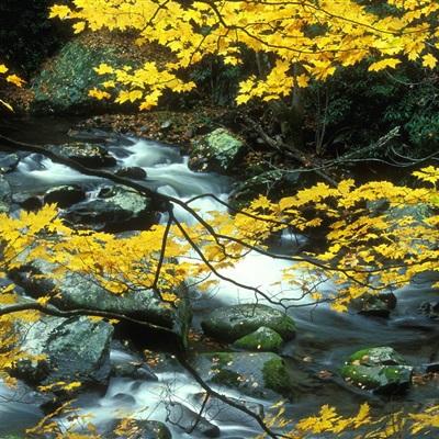 非凡体育APP下载app下载